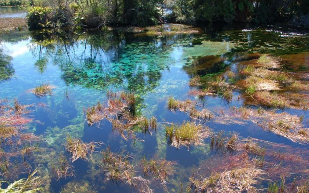 Waikoropūpū Spring.