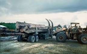 Logging operations in Solomon Islands