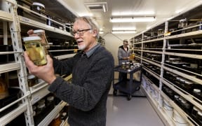 Curators Andrew Stewart (L) and Thom Linley (R) with specimens to be housed in the Te Papa Biodiversity Research Centre