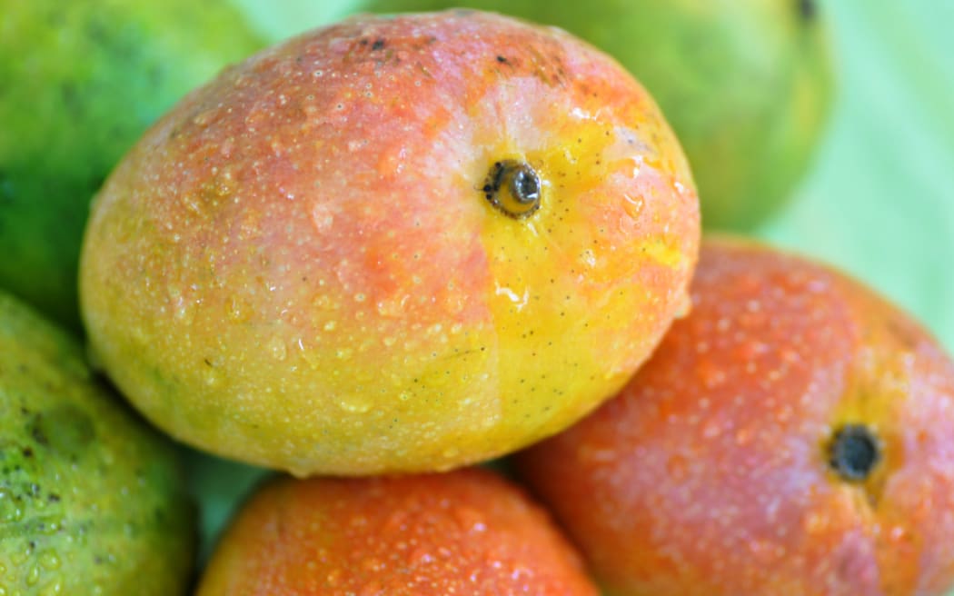 It's Mango season in India