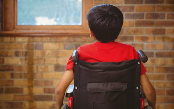 New Zealand has failed disabled children and their families, the Disability Commissioner says.