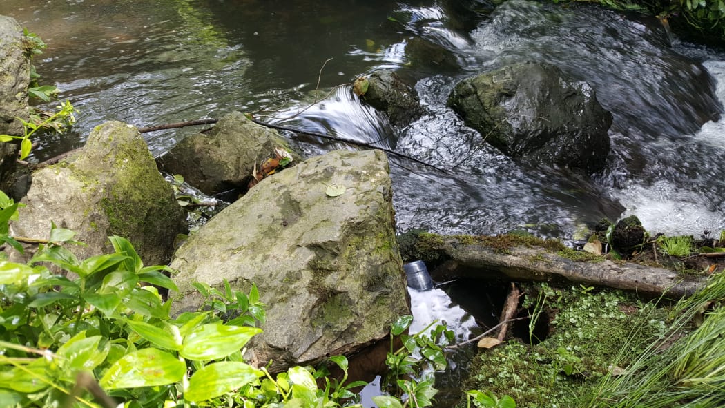 A plastic drink bottle and a soda can, trapped amongst rocks in an urban Hamilton stream, en route to the Waikato River and the sea.
