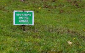car park grass