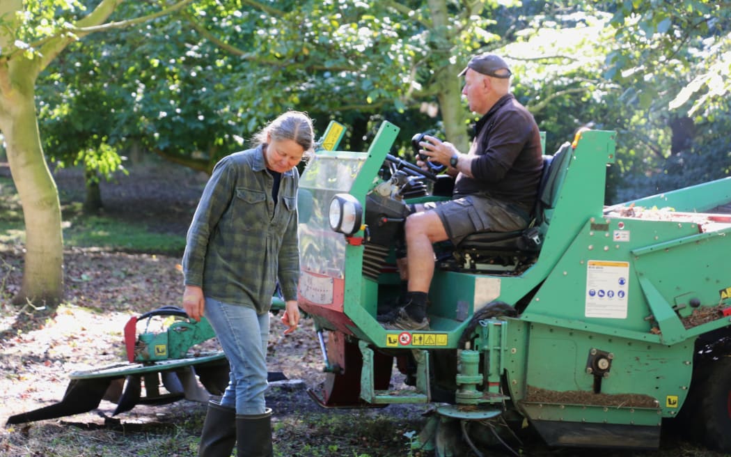 Walnut harvesting at Lightfoot Walnuts