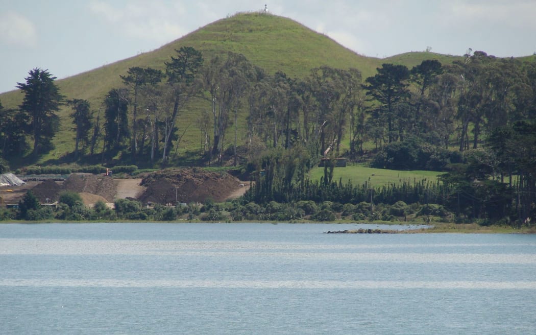 Puketutu Island