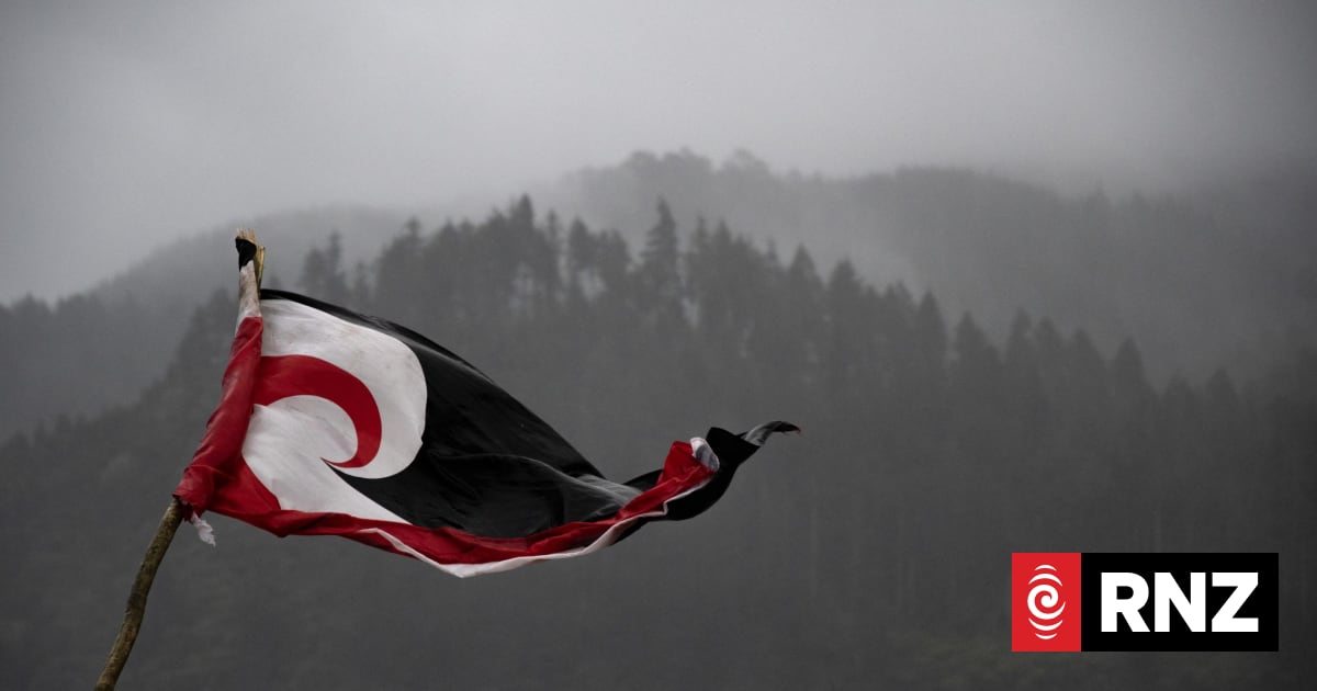 A tino rangatiratanga flag flies at tapu Lake Rotokākahi near Rotorua.