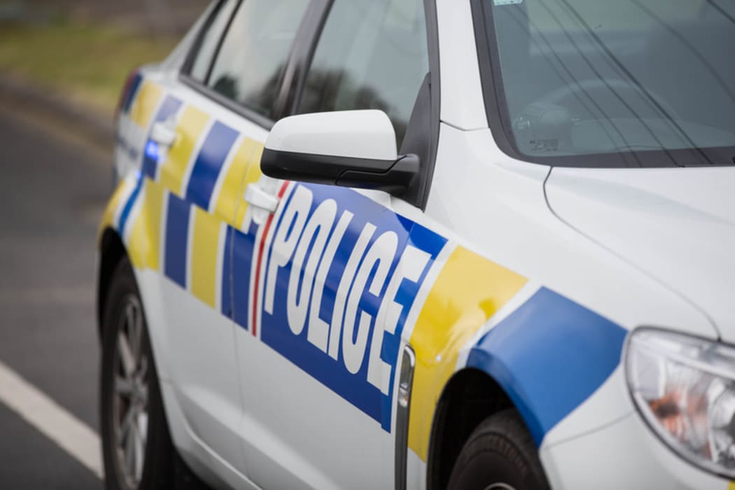 A police car parked on the street.