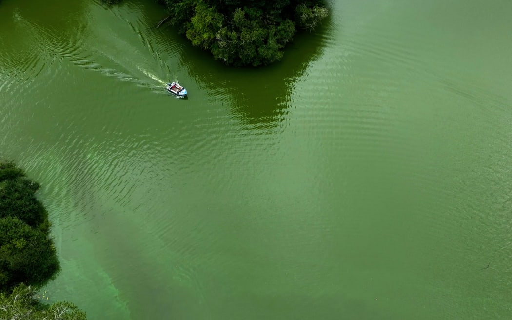 A drone shot from above Lake Ohakuri showing algal blooms on the water.
