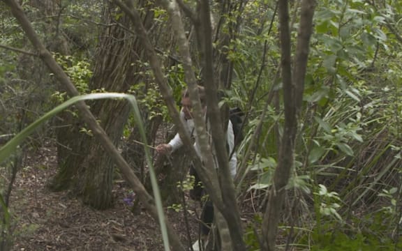 Checkpoint reporter Zac Fleming hunts for a black cat spotted on Rangitoto Island.