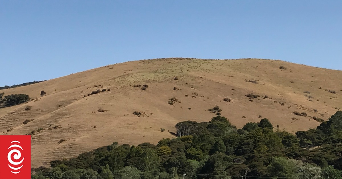 Drought declaration unlocks support for some North Island farmers, growers - Vimarsana News