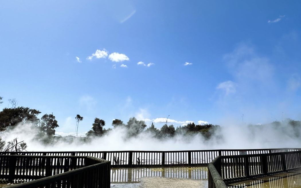 Geothermal landscape, Rotorua, North Island.
