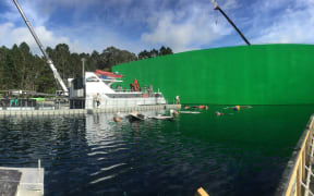 The film studio tanks where Meg was filmed in Kumeu, Auckland.