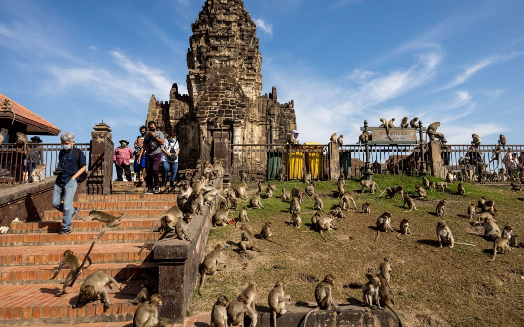 Macaque monkeys gather outside the Phra Prang Sam Yod temple during the annual Monkey Buffet Festival in Lopburi province, north of Bangkok on November 28, 2021. (Photo by Jack TAYLOR / AFP)