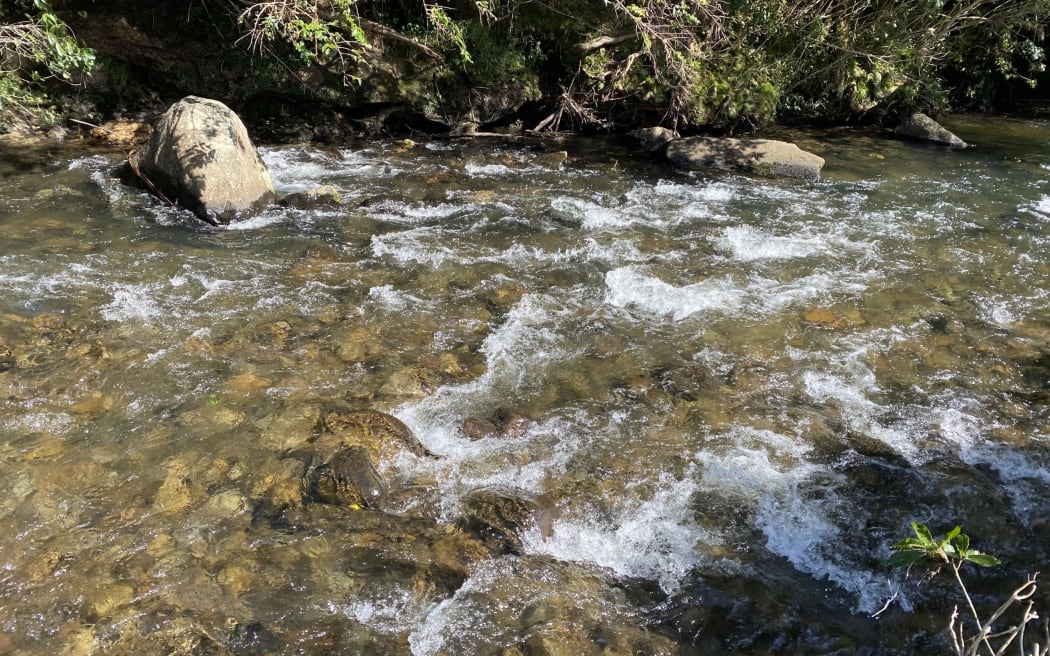 Rivers flowing through urban parks and reserves have often already been contaminated by farmland upstream.