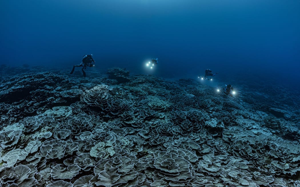 A coral reef site in pristine condition has been opened to the eyes of the world in French Polynesia