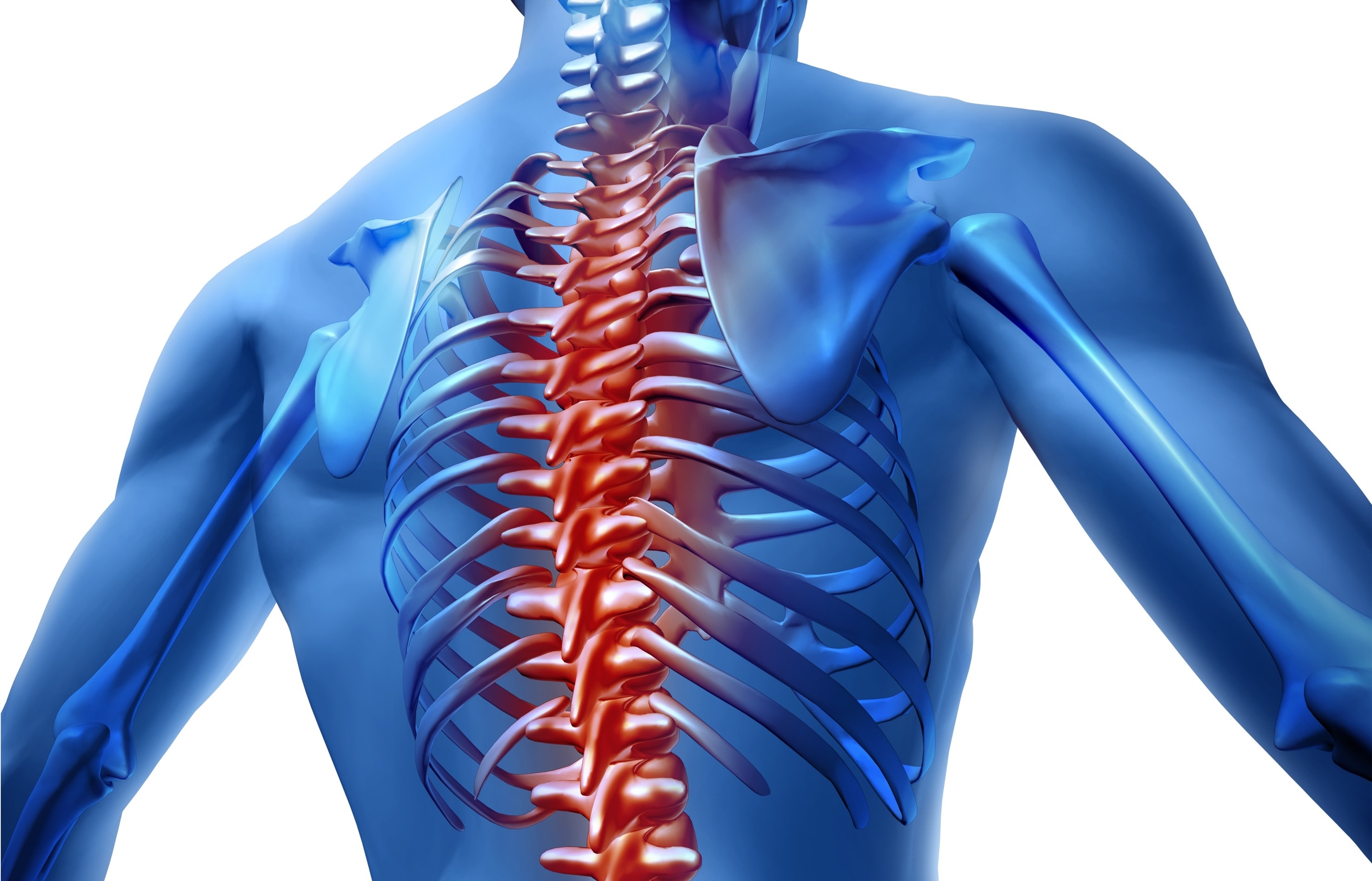 human body backache and back pain with an upper torso body skeleton showing the spine and vertebral column in red