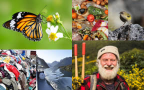 Best of 2020: Environment