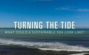 Waves on a beach. Text reads "Turning The Tide: What could a sustainable sea look like?"