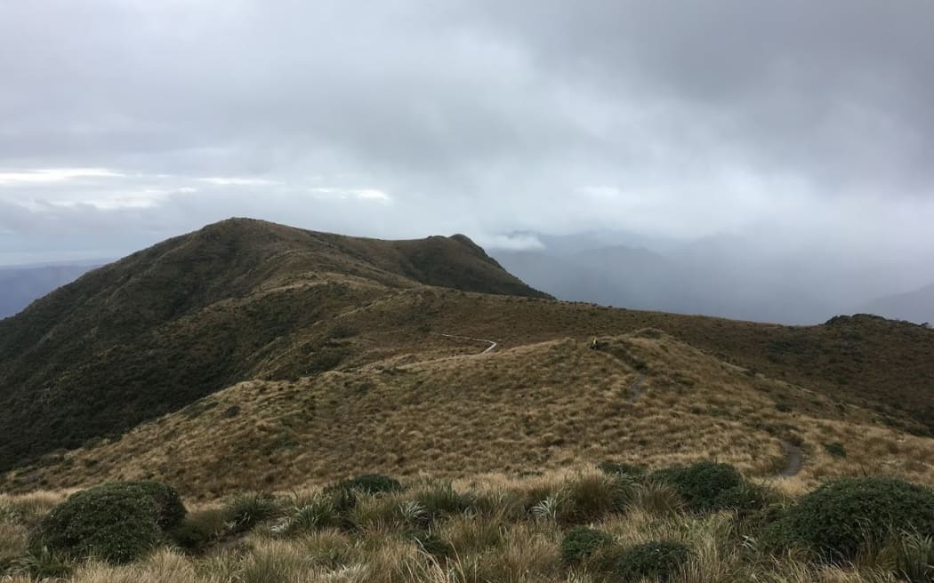 The Northern Crossing in the Tararua Ranges.