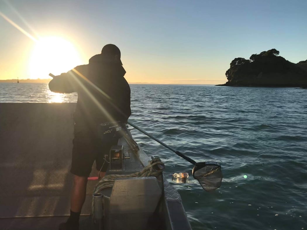 Seacleaners at work on the Waitemata Harbour.