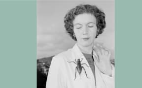 Dr Aola Richards with giant wētā, New Zealand