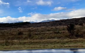 Te Anau cleared land