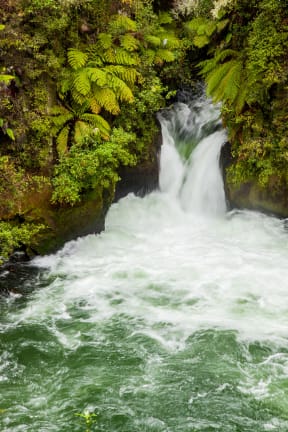 Okere Falls, Rotorua