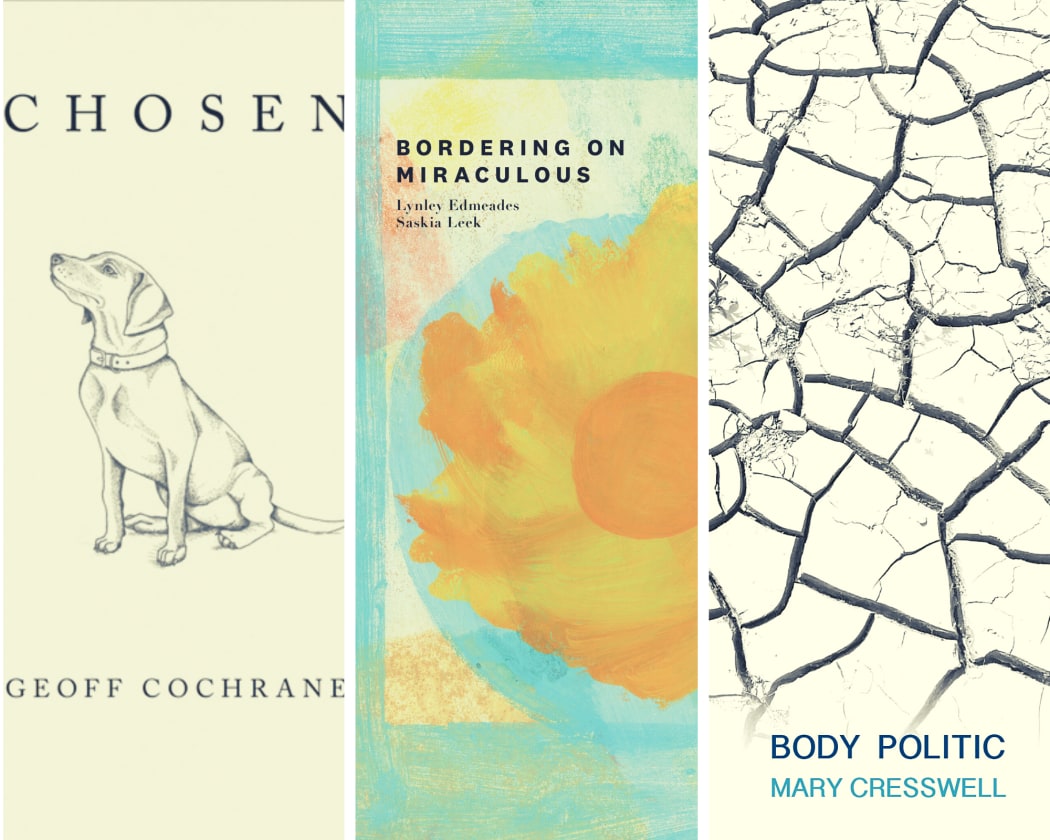 1) "Chosen" by Geoff Cochrane
2) "Body Politic" by Mary Cresswell
3) "Bordering on Miraculous" By Lynley Edmeades & Saskia Leek with illustrations by Gary Stewart