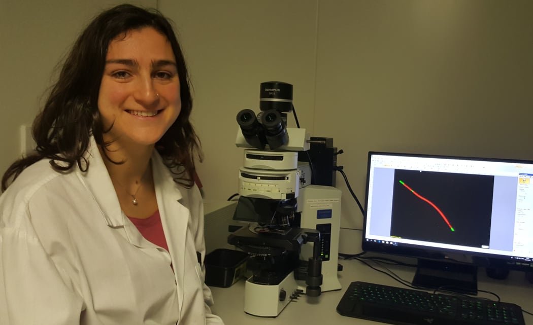 Master's student Rossella Nicolai is using a  fluoresence microscope to study cyanobacteria.