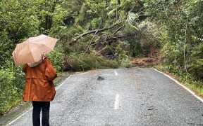 Konini Road in Titirangi was completely blocked by a slip on Friday night which crews are still clearing.