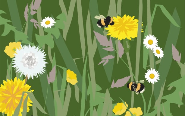 When does spring actually start? And what can we expect this season? | RNZ
