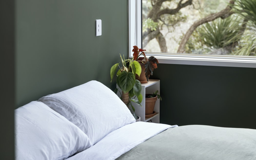 Wellington cohousing project complete what did they learn? RNZ