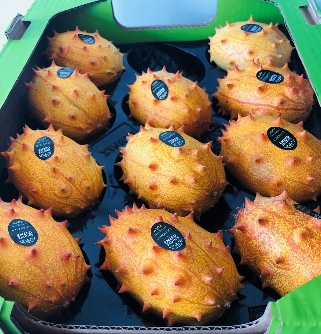Enzed Exotics kiwano in a tray, ready for market.