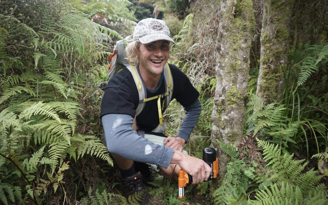 A man wearing grey thermals under a dark t-shirt, a backpack, and an off-shite cap over blond hair, crouches in among ferns while affixing a black-and-orange contraption to the base of a mossy tree trunk. He is smiling broadly at the camera.