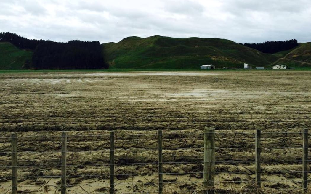 Gary Massicks farm showing flood silt still wet one month after.