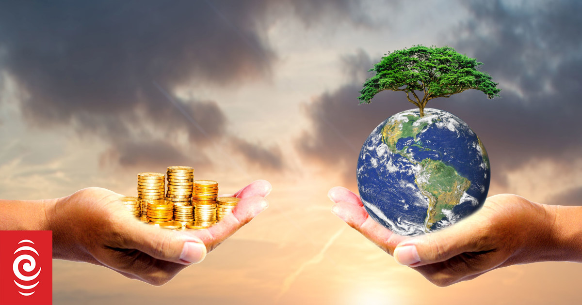 The woman fighting climate change with accounting - Vimarsana News