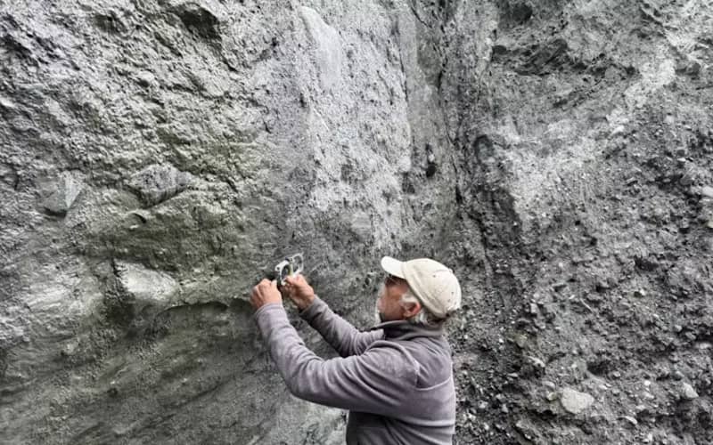 Clues left by the Alpine Fault's last big quake reveal its direction ...