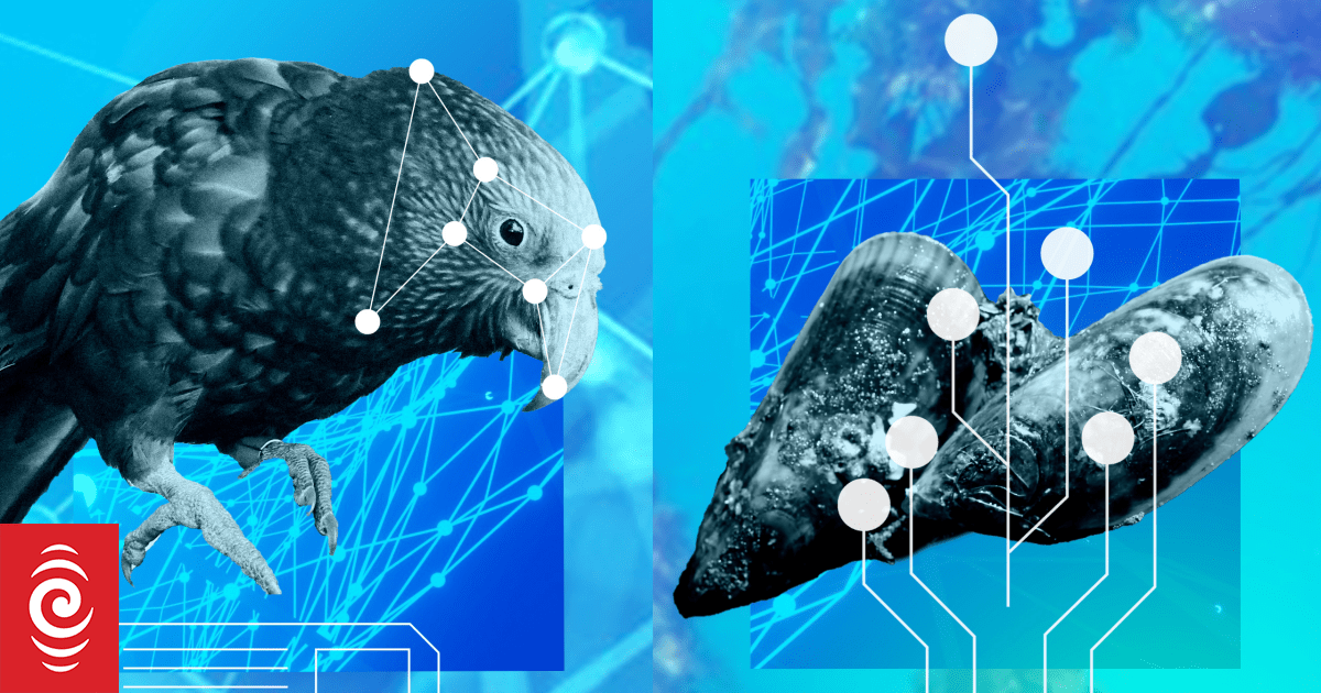 Kiwis putting cost of living ahead of environment, ministry boss says