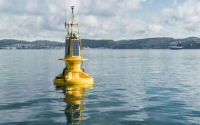 NIWA's WRIBO harbour buoy transmits real time information about sea conditions such as temperature, salinity and wave heights.