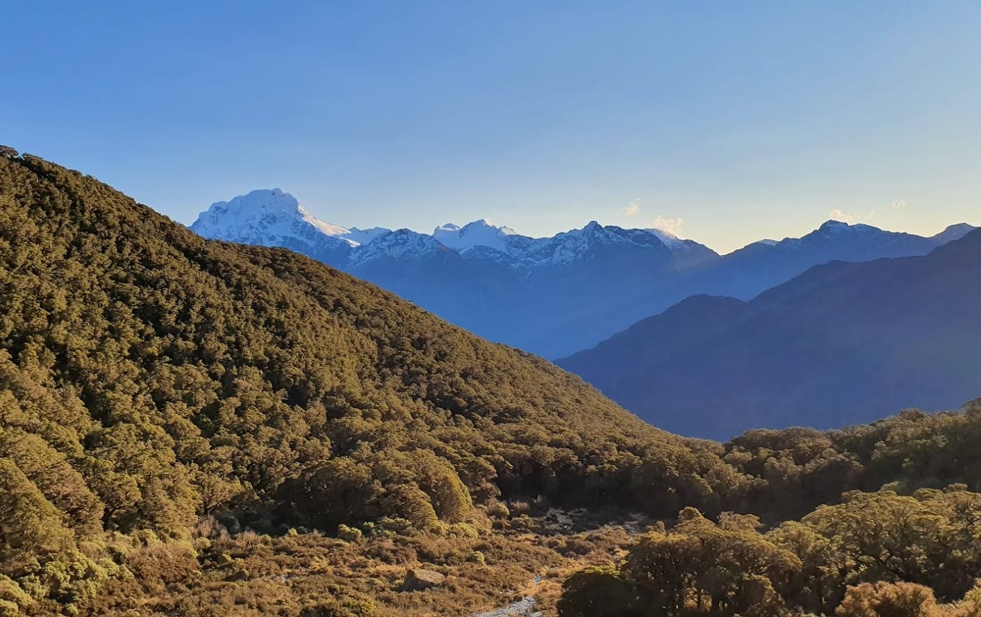 The -run study on rat density was conducted at Lake Alabaster in remote Fiordland.