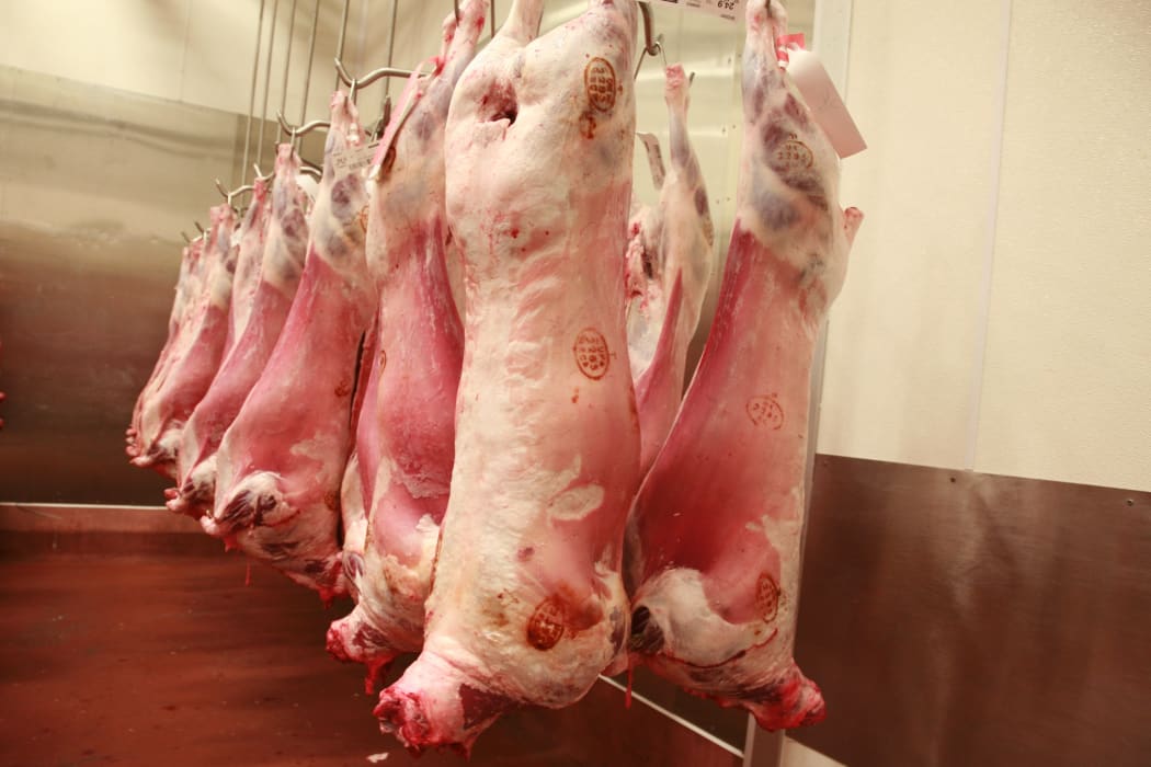 Lamb carcasses in an abattoir's refrigerator