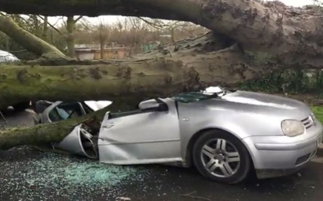 A tree brought down by the storm lands on a car in Chiswick, London.