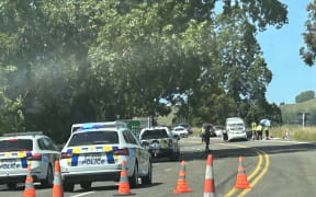 Two people were killed in a crash on State Highway 1 at Mangaweka Sunday.