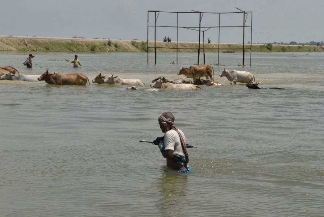 An Indian villager along with the herd of cows crosses a flooded road in Malda in the Indian state of West Bengal on August 24, 2017.