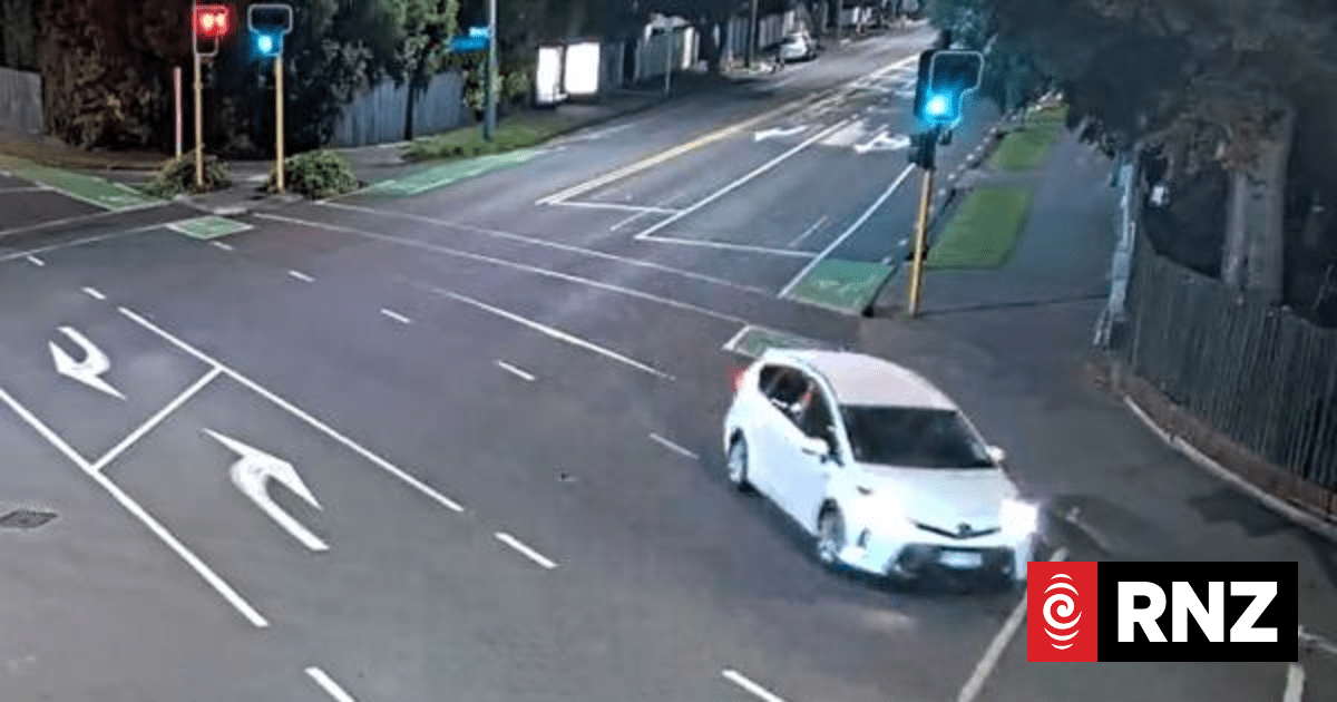 Police seek driver who stopped then left scene of fatal Chri