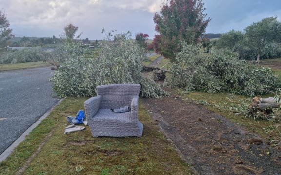 Trees have fallen over in Petra Way, Tasman after a tornado that tore through the upper South Island on 10 April, 2023.