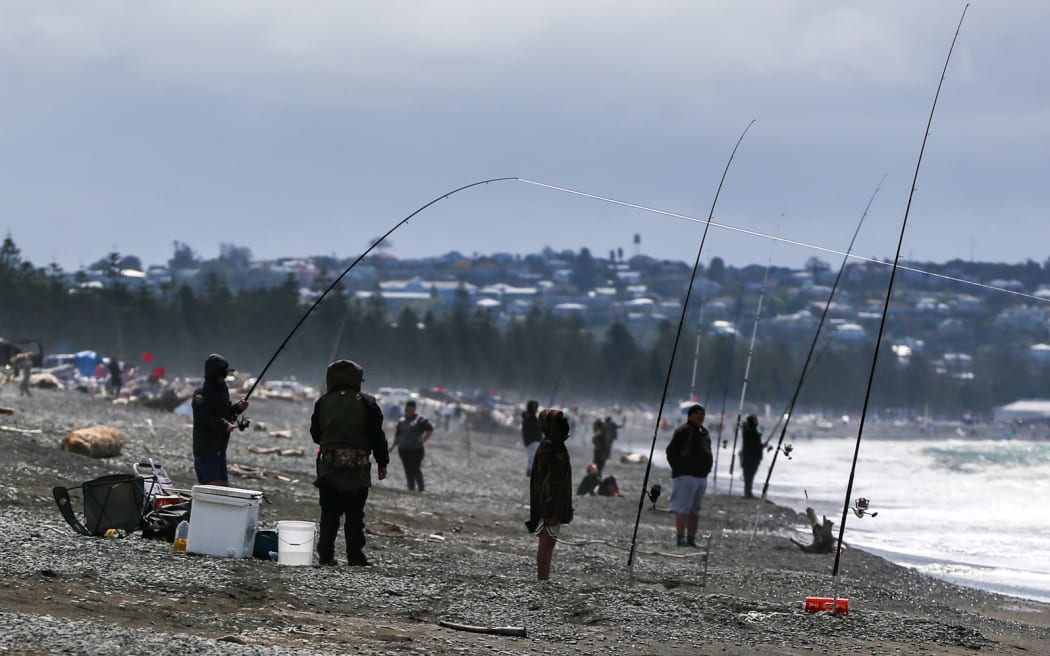 Surfcasters lined the beach for the Pania Surfcasters Club's annual kahawai competition. But where will they park now and not all of them will be able to carry their gear down to the beach.