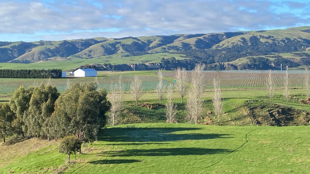 Wairarapa vineyards in winter