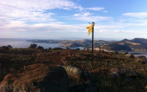 Porteous Hill site in Blueskin Bay, Dunedin, where investigations into a wind turbine project have been ongoing for nine years.