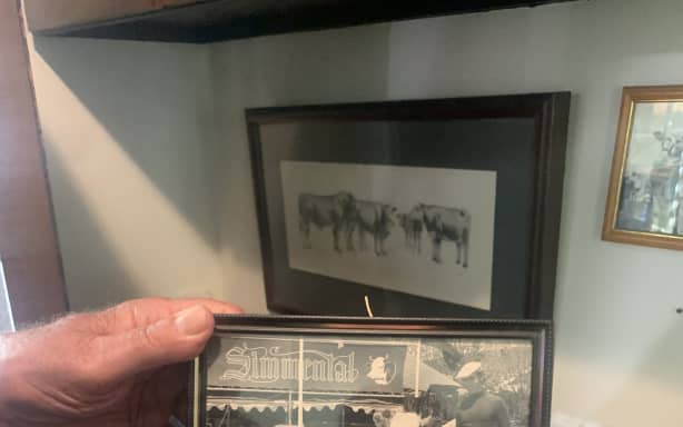 Country Life: Simmental cattle breeder Tony Thompson's life of legacy | RNZ